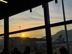 IMG_0250