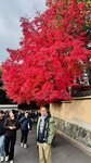 IMG_0953