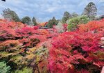 IMG_1224