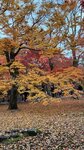 IMG_1231
