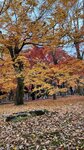 IMG_1233