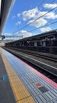 IMG_1484