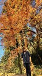 IMG_2012