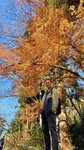 IMG_2019