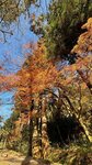 IMG_2020
