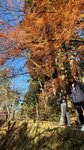 IMG_2022
