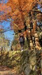 IMG_2025