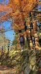 IMG_2026