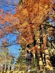 IMG_2027