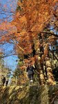 IMG_2031