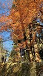 IMG_2032