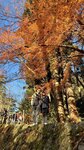 IMG_2033