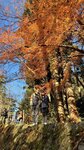 IMG_2034