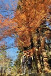 IMG_2035