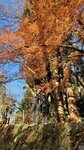 IMG_2036
