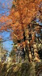 IMG_2040