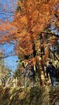IMG_2041