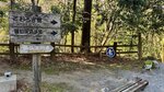 IMG_2042