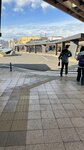 IMG_2232