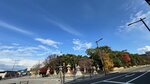 IMG_2245
