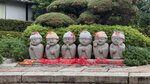 IMG_1537