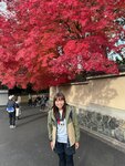 IMG_1543