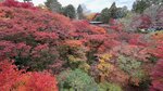 IMG_1775
