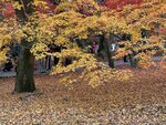 IMG_1782