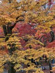 IMG_1783