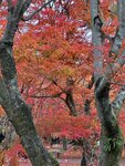 IMG_1784