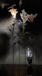 IMG_1870