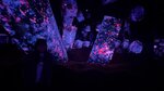 IMG_1935