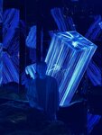 IMG_1945