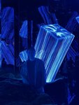 IMG_1946