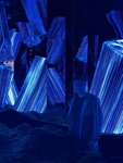 IMG_1947