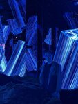 IMG_1949