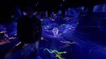 IMG_1969