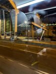 IMG_5599