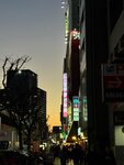 IMG_5784