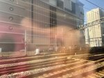 IMG_5809