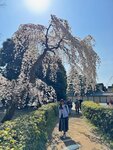 IMG_5861