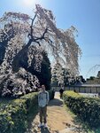 IMG_5867