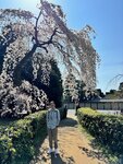 IMG_5868