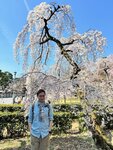 IMG_5882