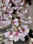IMG_5957