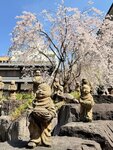 IMG_5981