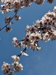IMG_5982