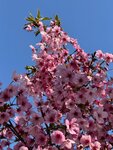 IMG_6044