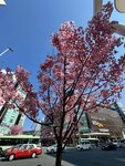 IMG_6046