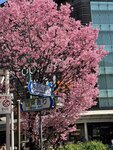 IMG_6047